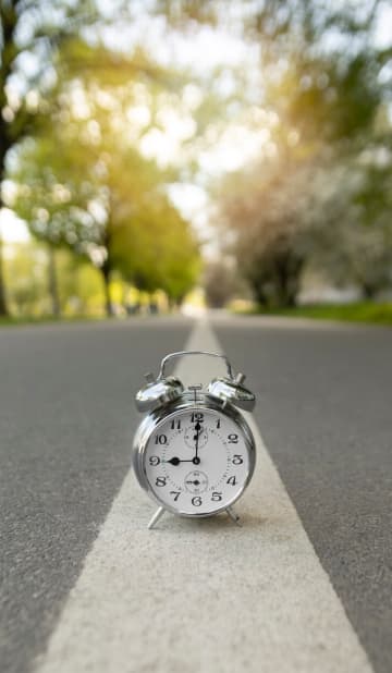 Adherence to deadlines and legal integrity